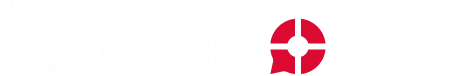 team::mt gmbh